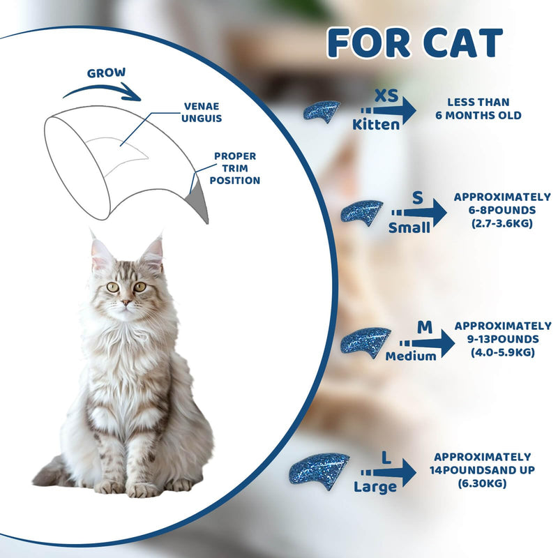 Cat Nail Caps with Glue - 20pcs Pet Kitten Cat Claw Caps Cat Claw Covers for Small Medium Large Cats - Crystal Blue M - BeesActive Australia