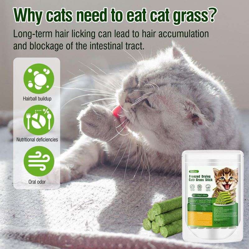 30g Cat Grass Snack, Cat Grass Sticks Naturally Dried Snacks for Cats for Hairball Removal and Dental Care, Catnip, Cat Grass Stick 30g - BeesActive Australia