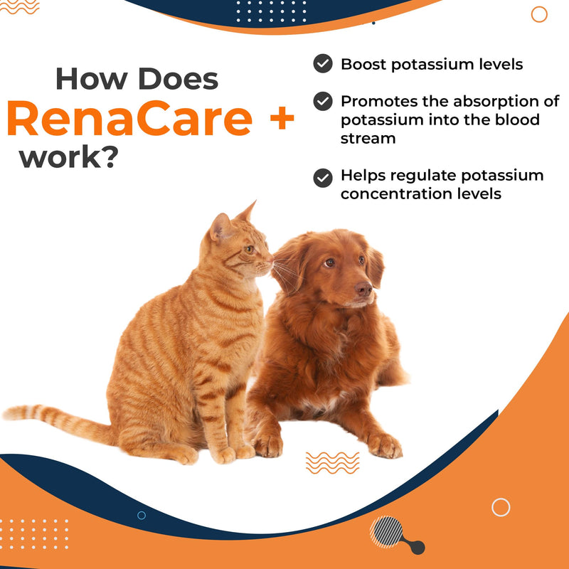 RenaCare K is for Renal K (Potassium Gluconate) Potassium Supplement Gel for Dogs and Cats, (5 oz) with Maple Flavor (Made in U.S.A) 5 oz - PawsPlanet Australia