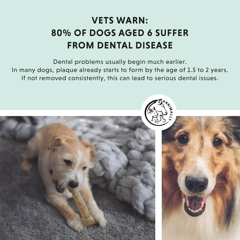 Annimally Oral Vital for Dogs 100 g - Daily Dental Powder with Eggshell Powder, Parsley, Seaweed, Peppermint & Spirulina, Made in Germany 100 g (Pack of 1)