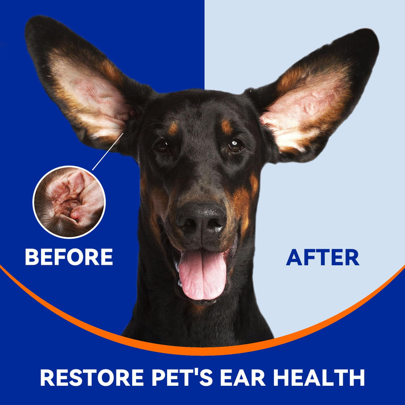 Dog Ear Drops for Dog Ear Infection Treatment, Dog Ear Cleaner with Quantum Silver for Itchy Allergic Ear Relief Solution, Cleans The Debris & Buildup, Prevents Dog Ear Infection, 4oz - BeesActive Australia