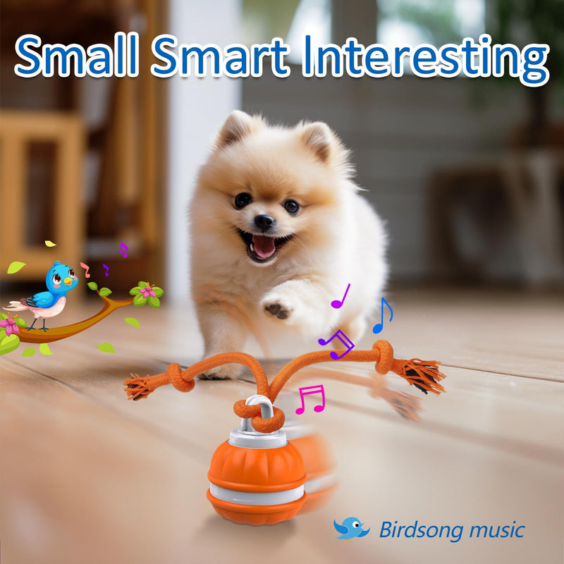 Interactive Dog Toys, Motion Activated Dog Ball, Automatic Rolling Ball Toys for Puppy/Small Dogs - BeesActive Australia