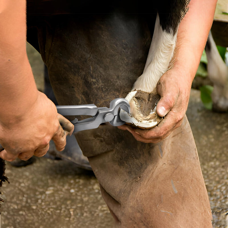 Premium Farrier Hoof Nipper - Chrome Vanadium Steel, Spring-Loaded for Smooth Trimming - Ideal for Horses, Ponies, Goats, and Cows, 10 Inches. - BeesActive Australia