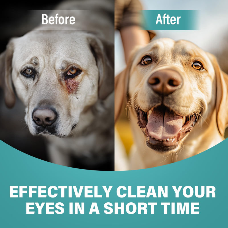 Cataract Drops for Dogs, Pet Gel Dog Eye Drops, Long Lasting Hydration,Improve Vision Clarity and Cataracts(2 x 20 mL) - BeesActive Australia
