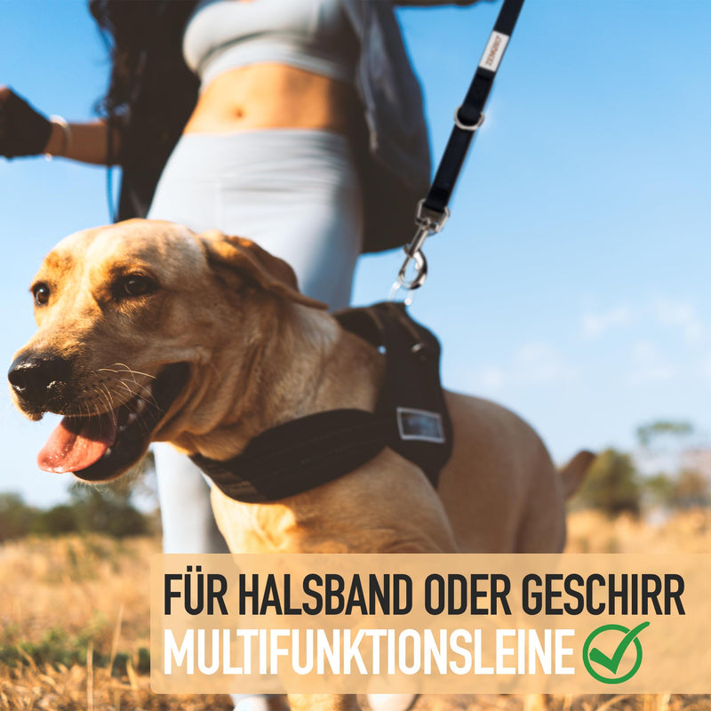 ZENOXO® [3m] dog leash | Dirt & waterproof - Ideal for medium & large dogs - 4-way adjustable running leash & shoulder leash - BeesActive Australia