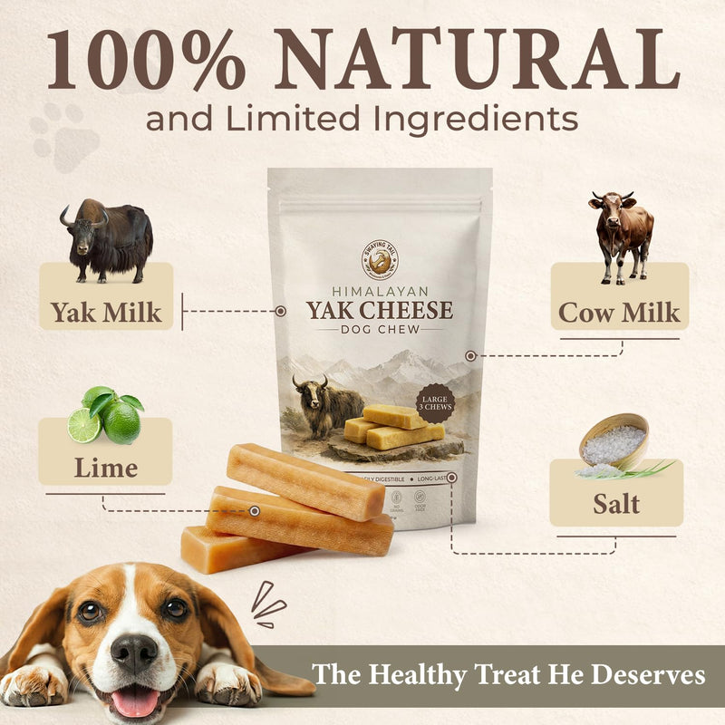 Himalayan Yak Cheese Dog Chew (Large, 3 Count) – 100% Natural, Long-Lasting Hard Treats for Super Chewers – Grain-Free, Lactose-Free, Odor-Free Incredibly Durable Churi Sticks for Dogs 1 Pound (Pack of 1)