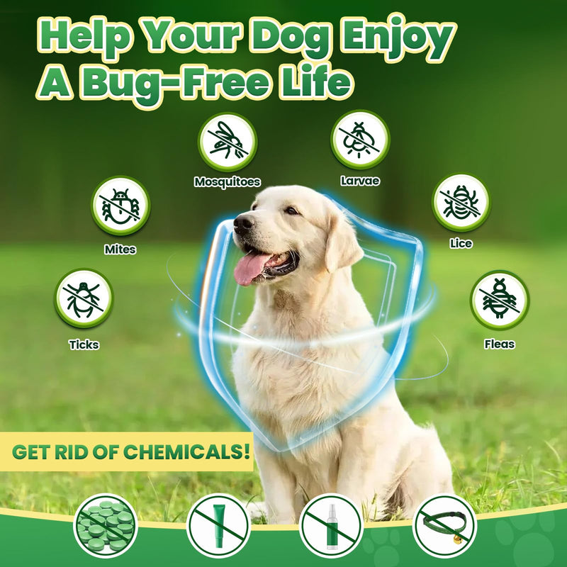 Flea and Tick Prevention for Dogs & Flea and Tick Chews for Cats, Soft Chews Natural Flea Tick Support for Cat God All Breeds & Ages
