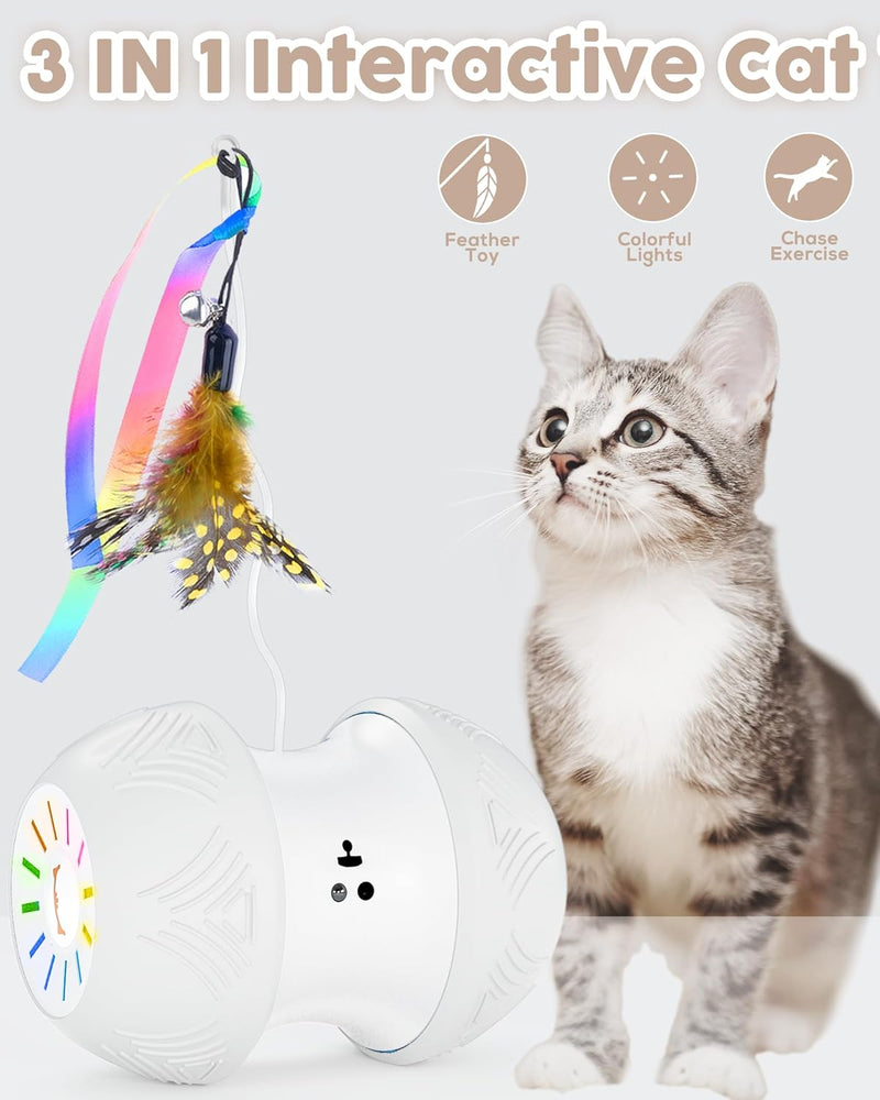 Interactive Cat Toy for Indoor Cats, Automatic Kitten Toys with 4 Feathers, Electric Cat Toys with LED Lights, 360° Rotating, Cat Exercise Toy, USB Rechargeable Cat Toy for Indoor Cats, Grey - BeesActive Australia