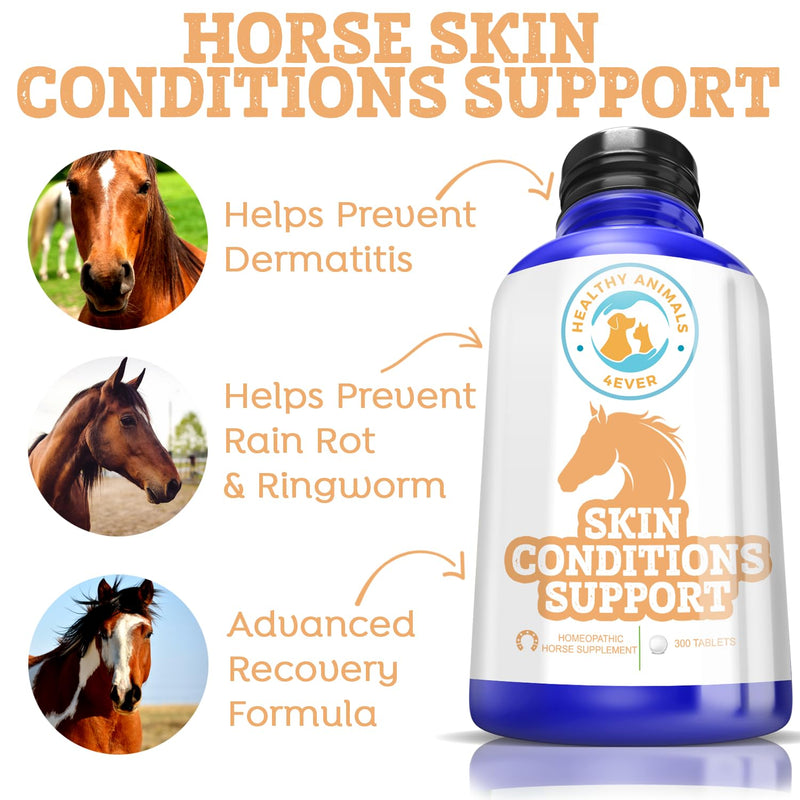 Healthy Animals 4Ever All-Natural Horse Skin Conditions Support - Helps Prevent Dermatitis, Rain Rot & Ringworm - Supplements for Horses - Homeopathic & Highly Effective - 300 Tablets - BeesActive Australia