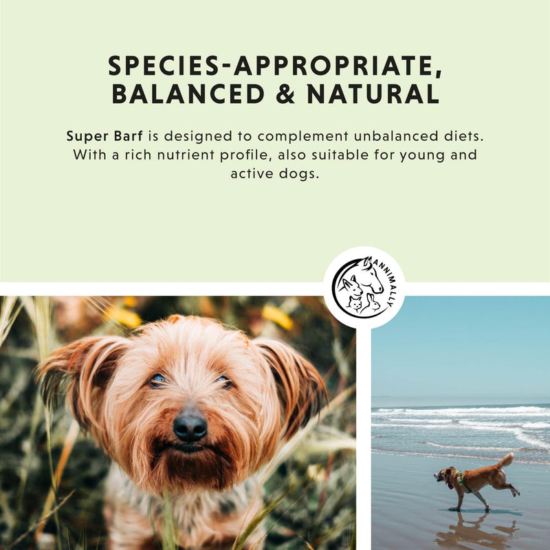 Annimally Super BARF Powder for Dogs 500 g - Pet Supplements with Vitamins, Minerals, Trace Elements & Amino Acids, Daily Nutritional Support for All Ages, Made in Germany