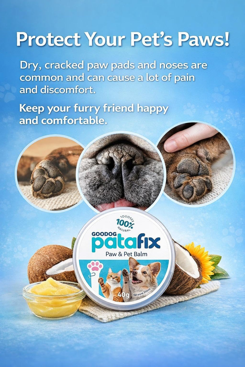 PataFix Natural Paw Balm for Dogs & Cats – 100% Organic Moisturizer for Paws & Nose