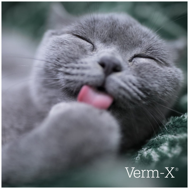 Verm-X 100% Natural Treats for Cats. Supports  Intestinal Hygiene. Vet Approved. UFAS Assured. Contains  Prebiotic for Gut Biome Quality. Restores and Maintains Gut Vitality. Wormwood Free Recipe. 60 g Single