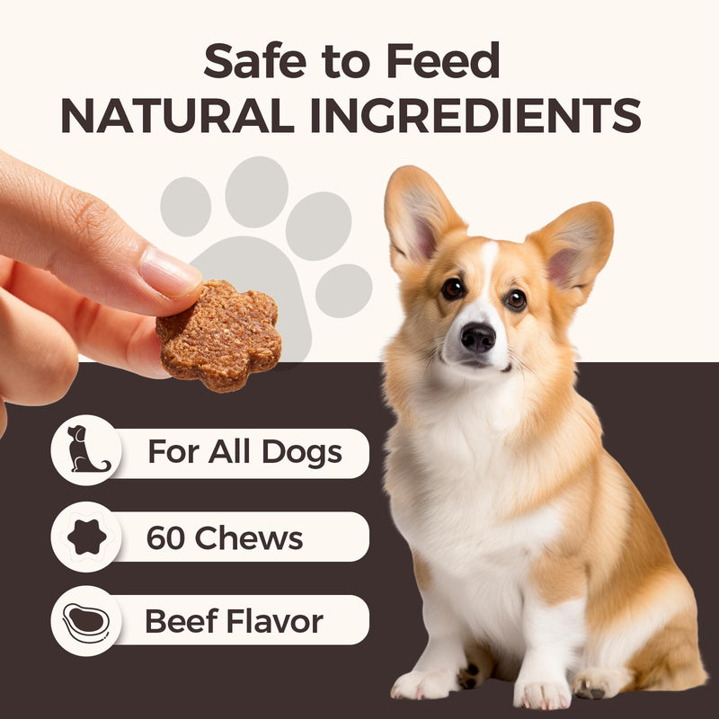 DM-01 Daily Multivitamin for Dogs, Multivitamin Itch Relief Chews Contain Glucosamine Probiotics Salmon Oil for Skin Coat, Gut & Immune Supports, 60 Chews (1) 1