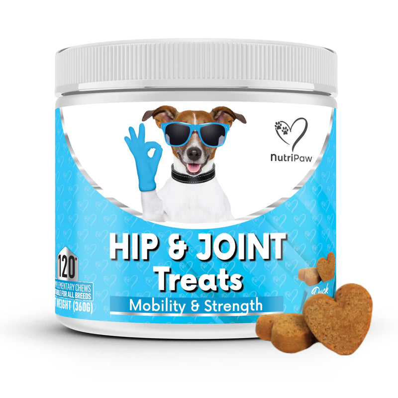 NutriPaw Joint & Hip Treats For Dogs - Stiffness, Strength, Mobility & Flexibility - Joint Supplement With Glucosamine, MSM, Chondroitin, Algae & Devils Claw - Perfect for Small, Medium & Large Dogs Single Pack