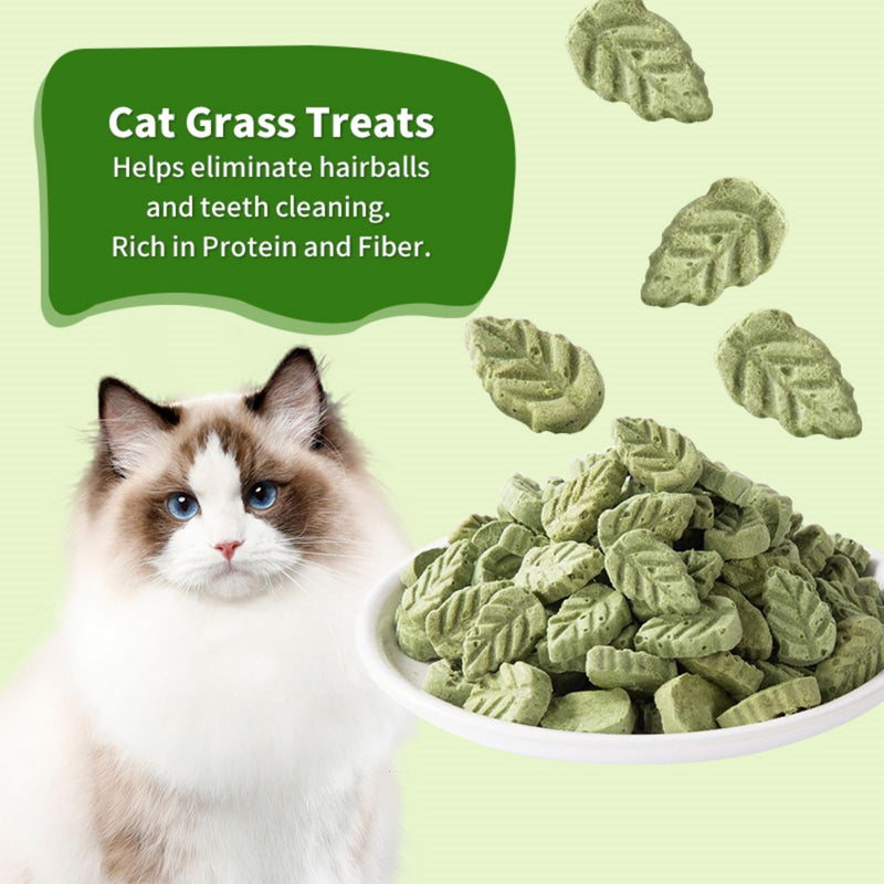 Cat Grass Sticks for Cat, Cat Grass Teething Stick Snack Canned for Indoor Cats, Cat Grass Treats for Teeth Cleaning and Hairball Relief - BeesActive Australia