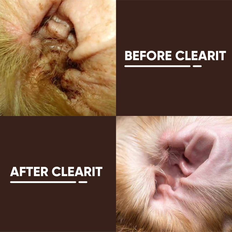 Avalon Pet Products CLEARIT 2 x 20G Ear Powder for Dogs & Cats – Anti Bacterial & Anti Fungal Powder Supports Yeast Control, Itching, Wax Build-Up & Odour - Helps Keep Ears Dry, Fresh & Comfortable 20 g (Pack of 2)