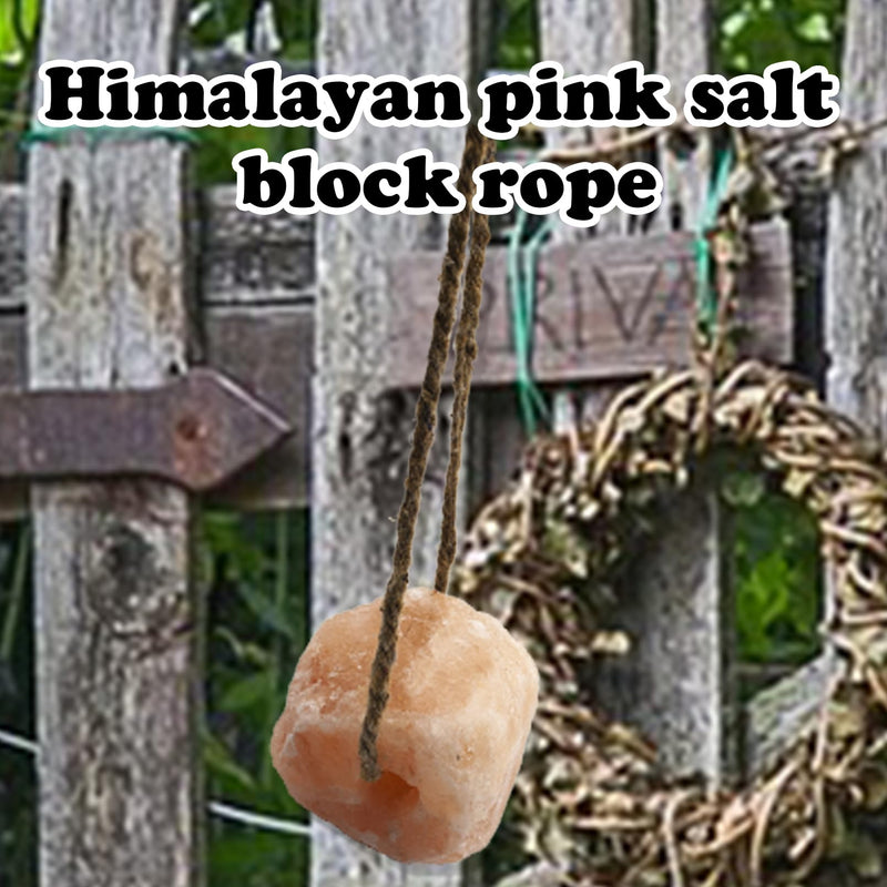 2 Pack Himalayan Salt Lick Natural Minerals Block on Rope for Horses,Cattles,Deer,Goat and Other Livestock Long Lasting Original Pink Salt Lick (4.8-6.6 lbs) 【2 PCS】 - PawsPlanet Australia