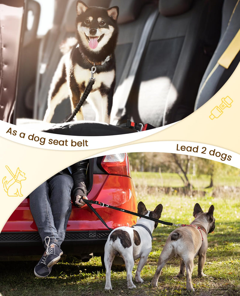 Pecute Dog Leash Hands Free with Pouch, Waist Belt Fanny Pack with Soft Pads, Dual Padded Handles and Shock Absorbing Bungee for Walking, Hiking, Training, Running 1 dog grey