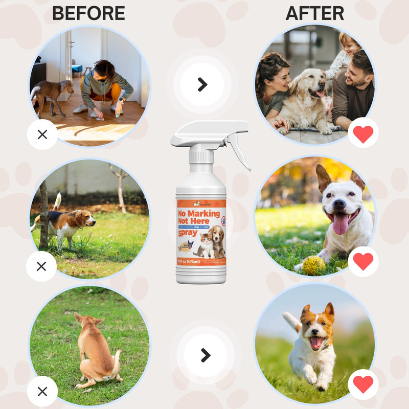 8oz Specialized Spray for Instilling Good Bathroom Behavior in Pets