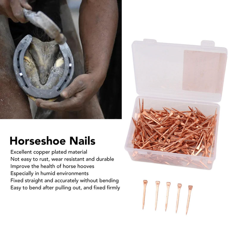 250Pcs Horseshoe Nails, Solid Pure Copper Equestrian Riding Equipment Horseshoe Tools for Horse Racing Training (47.5mm E4) 47.5mm E4 - BeesActive Australia