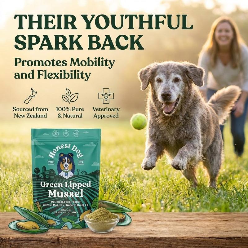 Green Lipped Mussel for Dogs | 100% Pure New Zealand Green Lipped Mussel Powder | Joint Support Omega 3, Glucosamine & Chondroitin | Additive Free, Freeze Dried | 100g | by Honest Dog Co. 100 Grams