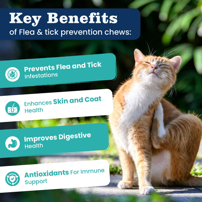 Flea Treatment for Cats 500 Treats Natural Flea and Tick Prevention Supplement for All Cats - Skin & Coat Care, Immune System Boot, Digestive Gut Health, Daily Oral Flea Supplement Chicken Flavor