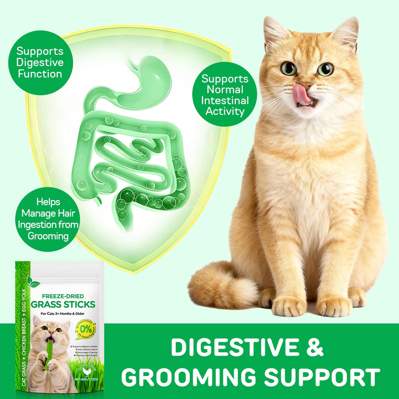 60g Cat Grass Sticks, Delicious Cat Grass Teething Stick Edible Cats Chew Toy Cat Treats Snack for Teeth Cleaning and Hairball Removal