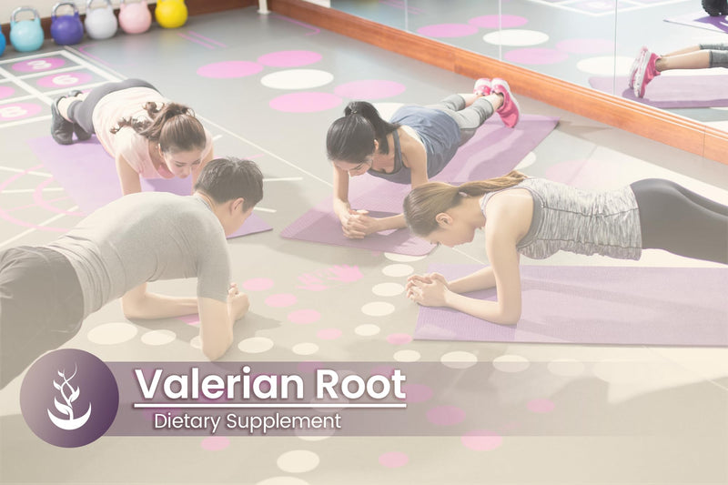 PURE ORIGINAL INGREDIENTS Valerian Root, (100 Capsules) Always Pure, No Additives Or Fillers, Lab Verified 100 Count (Pack of 1) - BeesActive Australia