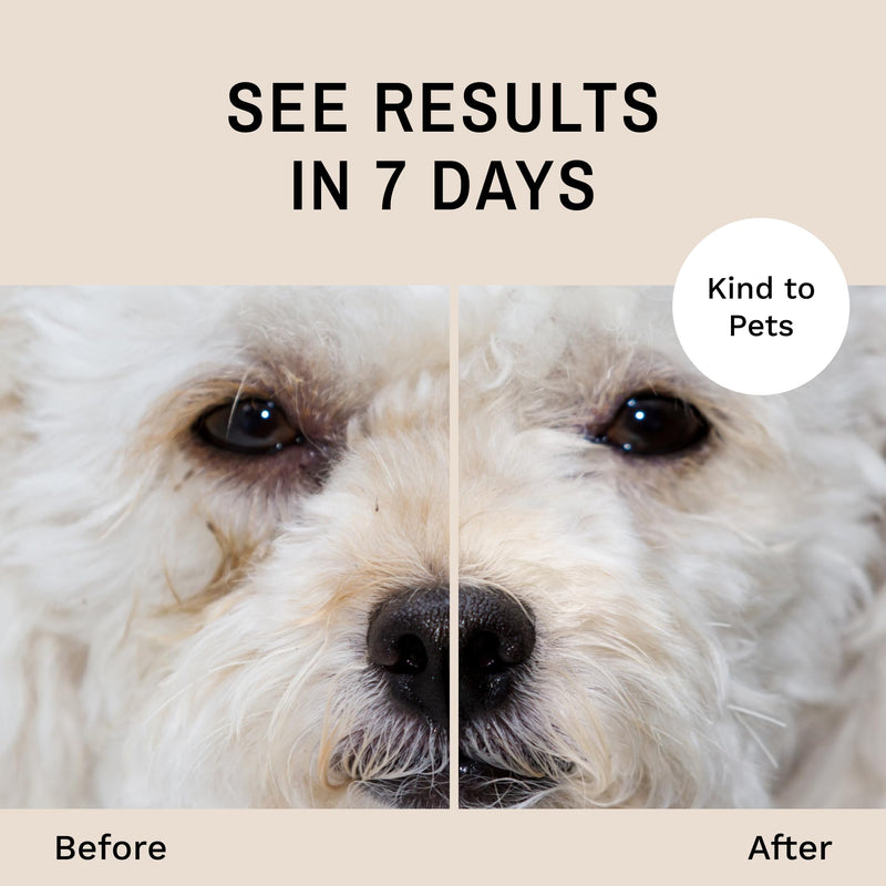 Eye Envy Dog Tear Stain Remover Starter Kit with ProPowder Brush | Stain Solution, Applicator Pads, Stain Powder and Small Applicator Brush | Lasts 30-45 Days 1 Count (Pack of 1)
