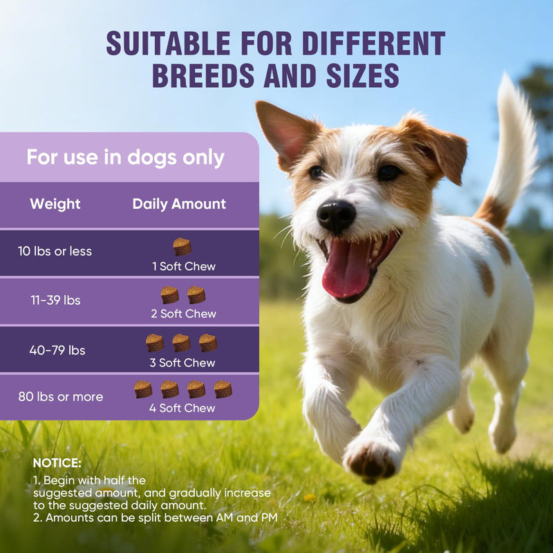 Dog Allergy Chews 200ct - Dog Allergy and Itching Skin Relief Anti Itch Aller Immune Bites for Dogs licking Paws Treatment Relief Itchy Chew Probiotics Vitamins for Skin and Coat Allergies - Chicken 2 g/capsule 200pcs
