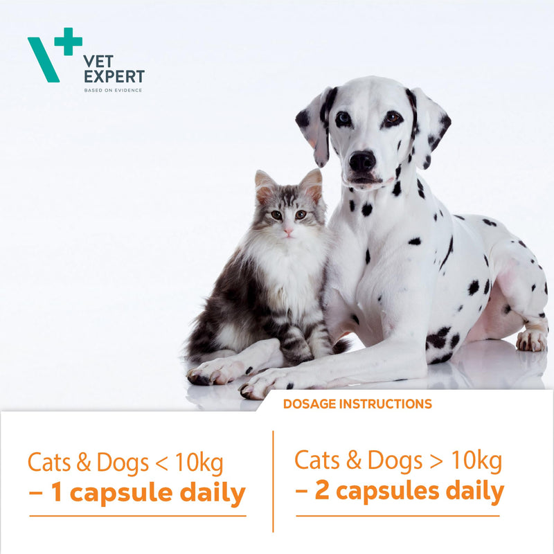 Vet Expert VetoMune Immune Support Supplement for Cats & Dogs – Boosts Natural Defences, Aids Recovery, 60 Capsules