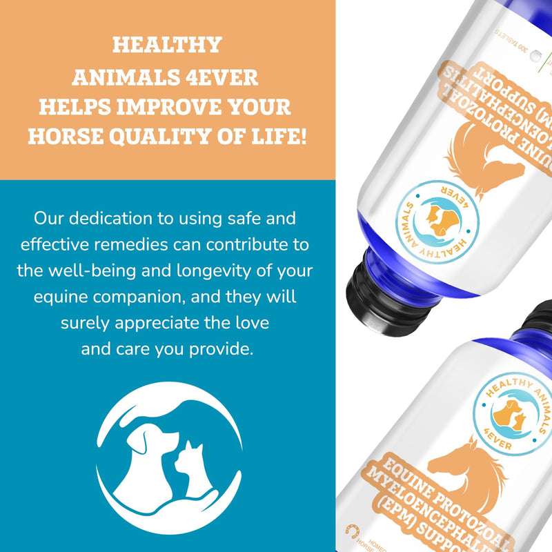 HealthyAnimals4Ever Horse All-Natural Equine Protozoal Myeloencephalitis (EPM) Support - Reduces Weakness, Ataxia & Loss of Coordination - Supplements for Horses - Highly Effective - 300 Tablets - BeesActive Australia
