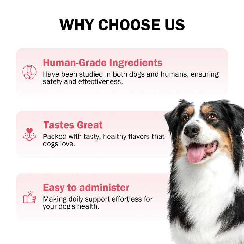 Cranberry for Dogs, 120 Chewable Tablets, UTI Treatment for Dogs, Urinary Tract Support, Promote Kidney and Bladder Health, Cranberry Supplement for Dog