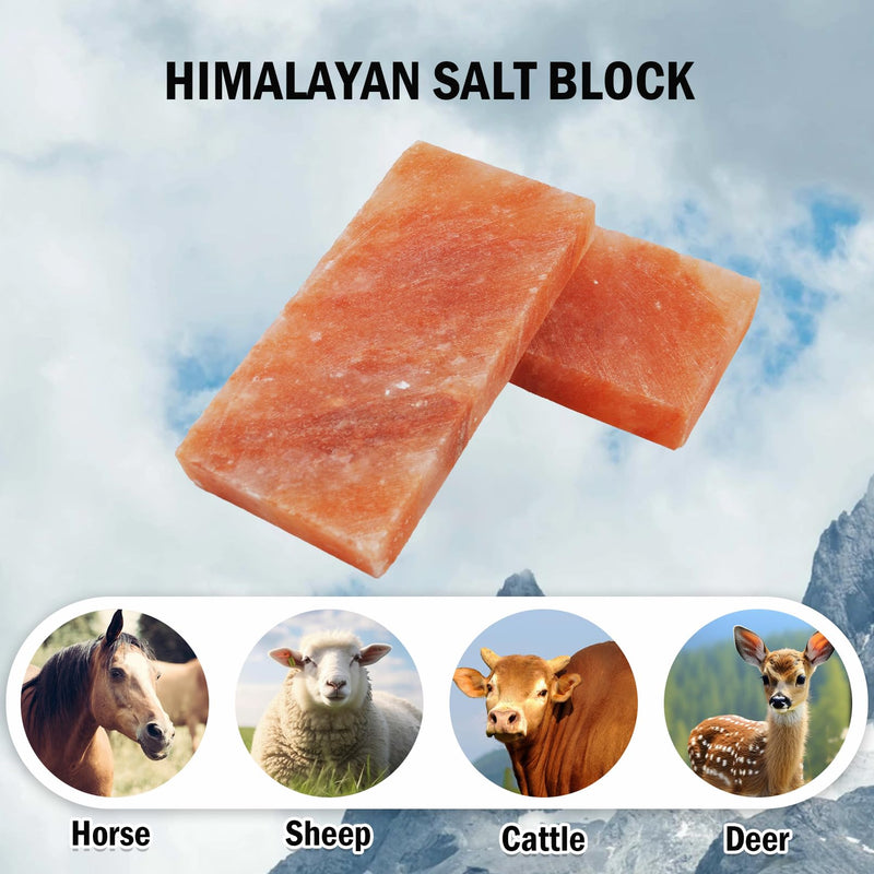 kathson Himalayan Salt Blocks for Horses Animal Salt Lick Brick Natural Mineral Pink Salt Licks for Horse Deer Cattle Sheep and Other Livestock (1 Pcs | 8 x 4 x1 Inches) - PawsPlanet Australia