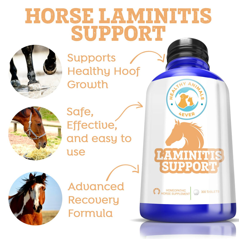 All-Natural Horse Laminitis Support - Horse Hoof Care Products for Damaged or Injured Hooves - Hoof Supplements for Horses - Homeopathic & Highly Effective - 300 Tablets - BeesActive Australia