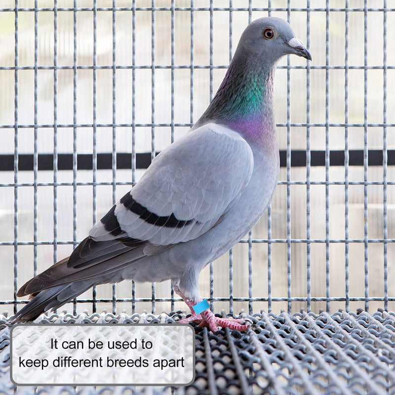 EXCEART Chicken Legs 100 Pcs Bird Rings Pigeon Foot Rings Plastic Multi- Colour Pigeon Foot Bands Clip on Multi- Color Leg Rings for Chicks Bantam Finch Dove Lovebird Quail Small Poultry Ringd - PawsPlanet Australia