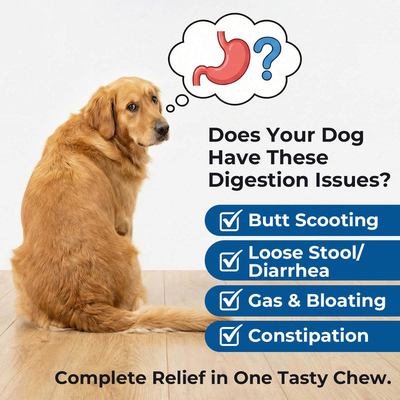 Dog Probiotics Soft Chews, 1.6 Billion CFU Probiotic Chews for Dogs with Pumpkin, Papaya & Digestive Enzymes, Daily Gut Health Support for Gas, Stool Consistency & Sensitive Stomach, 90 Count