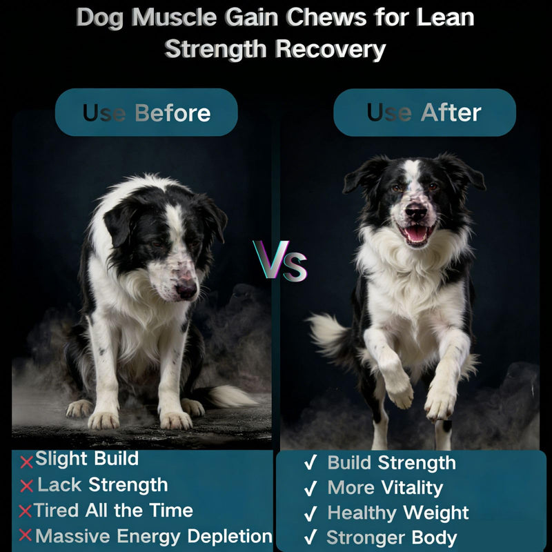 Muscle Gain Chews Dog Weight Gainer Supplements with High Protein & Canine Amino Acids Puppy Vitamins Canine Muscle Builder Formula for Bully & All Breeds Puppies & Adult & Senior Dogs-100