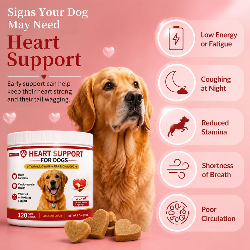 Taurine for Dogs, Heart Support Supplement, Antioxidant - Rich L-Taurine, L-Carnitine, EPA & DHA, CoQ10, Supports Cardiovascular Wellness, Circulation & Heart Function – 120 Chicken Flavour Soft Chews