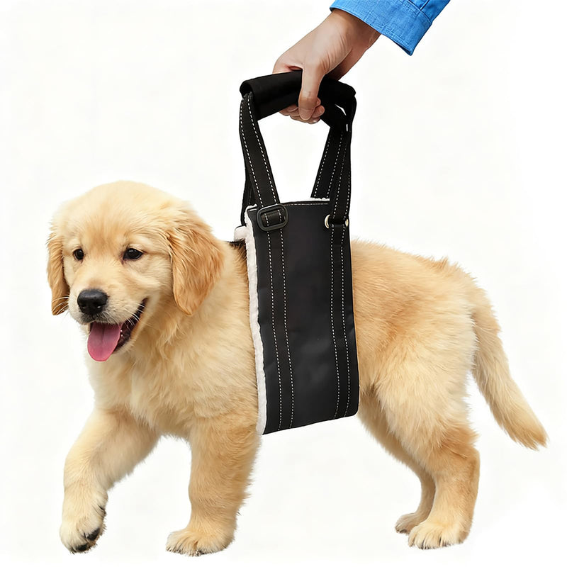 Dog Carrying Aid, Adjustable Walking Aid and Rehabilitation Carry Strap for Various Sizes, Safety Support for Disabled, Injured or Older Dogs, L