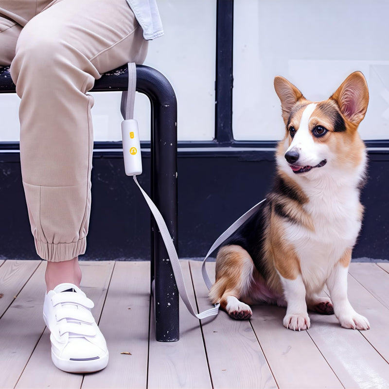 Hand Free Dog Leash Adjustable Length 4-6 ft with Reflective Stripor for Medium&Small Dogs Comfortable Handle and Sturdy Rope for Walking, Jogging and Running Your Dog (White) white