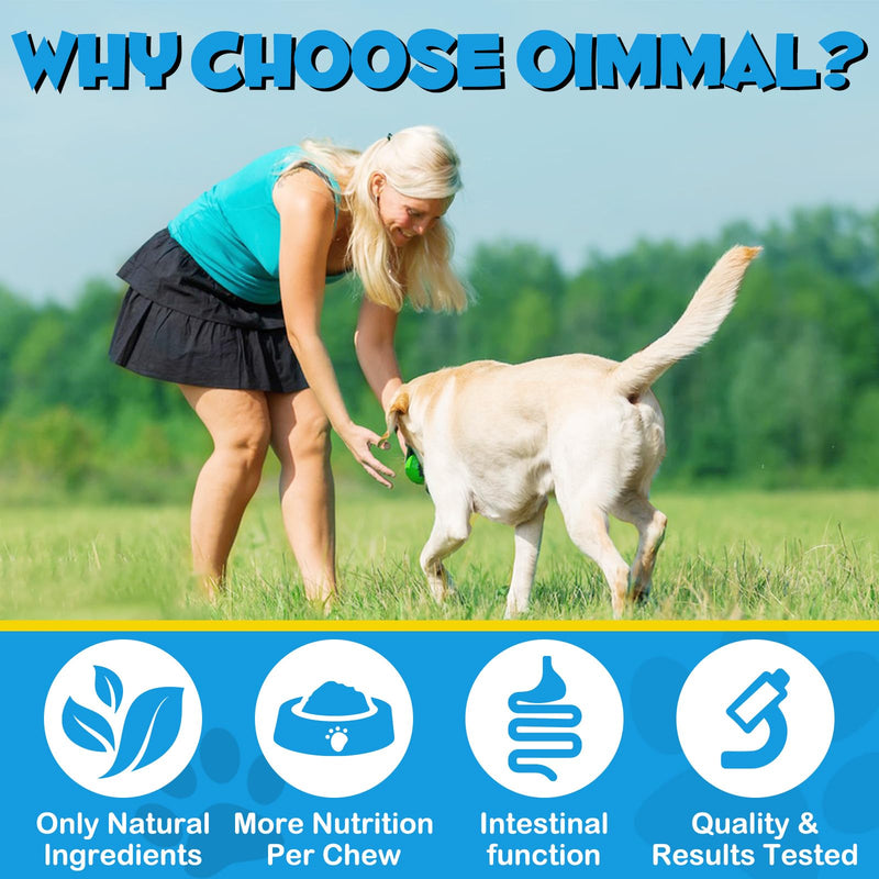 Anal Gland Support for Dogs, 150 PCS Anal Gland Supplement Soft Chews with Pumpkin Puree Fiber, Dog Diarrhea Supports Healthy Anal Gland & Intestinal Function with Digestive Enzymes & Probiotics - BeesActive Australia