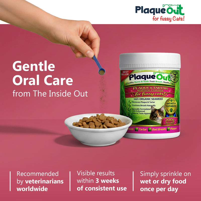 PLAQUE OUT for Fussy Cats 200g Pot - Plaque Off Remover - 100% Natural and Organic Seaweed Powder for Cats - Cat Teeth Cleaning, Cat Plaque Removal, Cat Dental Care, Bad Breath & Gum Care