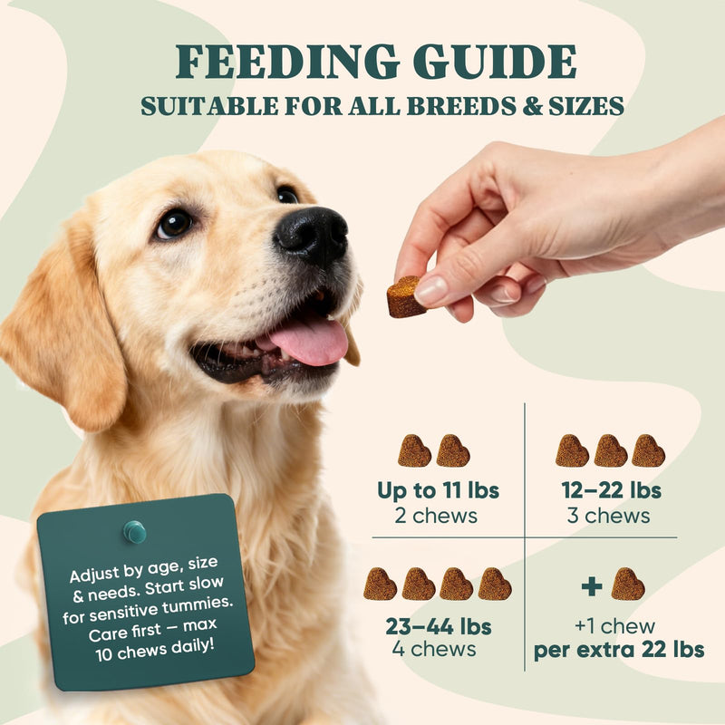 Dog Allergy Chews Omega 3 is Human,Itch Relief Multivitamin Medicine for Dogs Itching Skin Relief and Aller Immune Pet Allergy Dog Anti Itch Chews Coat Licking Supplements Pills Meds Medicine for Dogs Chicken