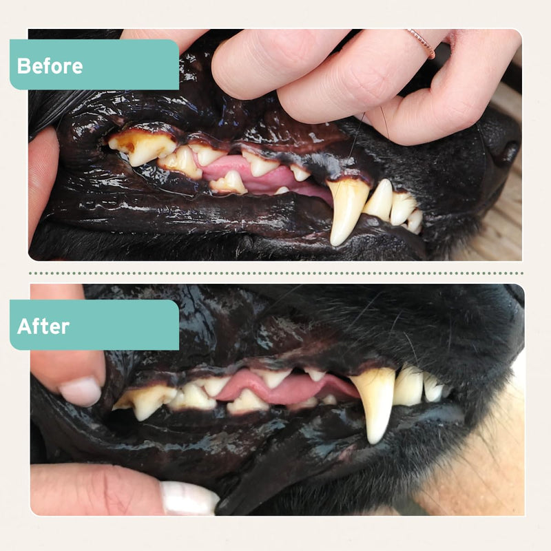 AniForte Denta Clean & Care 300g for Dogs and Cats - Effective Natural Teeth Cleaning Supplement for Fresh Breath, Anti-Plaque & Tartar Remover