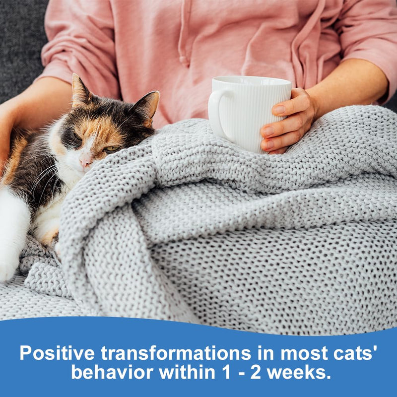Aomig Pheromone Diffuser Refill for Cats Multi-Cat Household Refill, Cat Calming Plug in Diffuser Refill, Plug In Anxiety Relief Pheromone Diffuser for Cats, Cat Calming Product Calming Pheromone Kit 6PCS-Refill