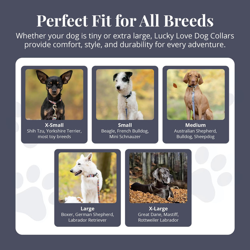 Lucky Love Dog - Adjustable Dog Collar with Easy Click Buckle for Small to Large Dogs, Durable, & Comfortable Collar for Male & Female Dogs, Pet Collar for Puppies & Adult Dogs - Blackbird, Medium Medium | 13-21" Blackbird Collar Only - BeesActive Australia