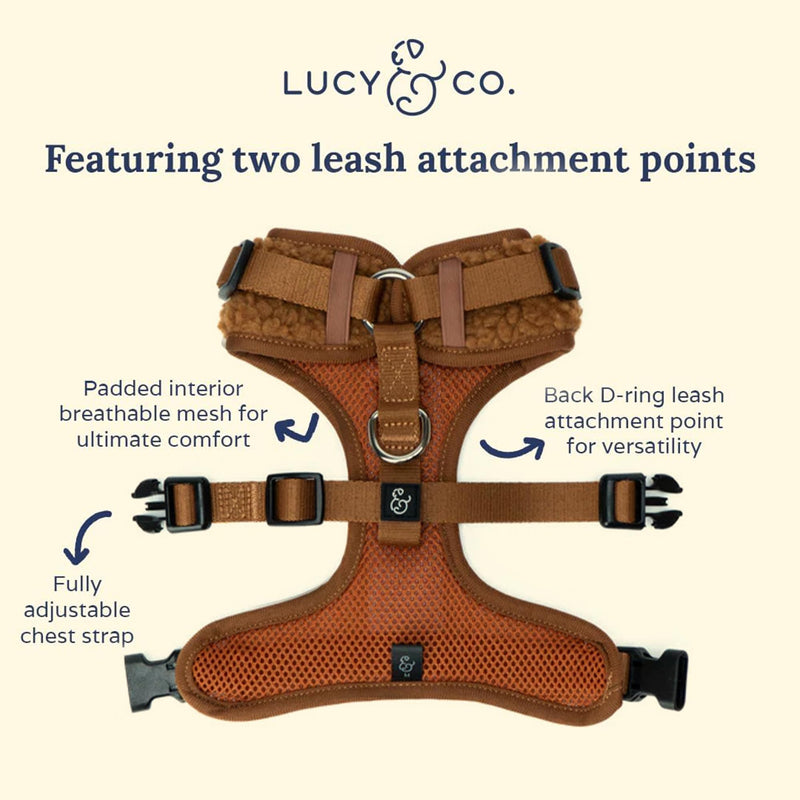 Lucy & Co. Cute No-Pull Cinnamon Teddy Harness - Stop Pulling & Walk Easy - Harness Available in XS-XL for Small, Medium, and Large Dogs - Teddy Brown (Medium) - BeesActive Australia