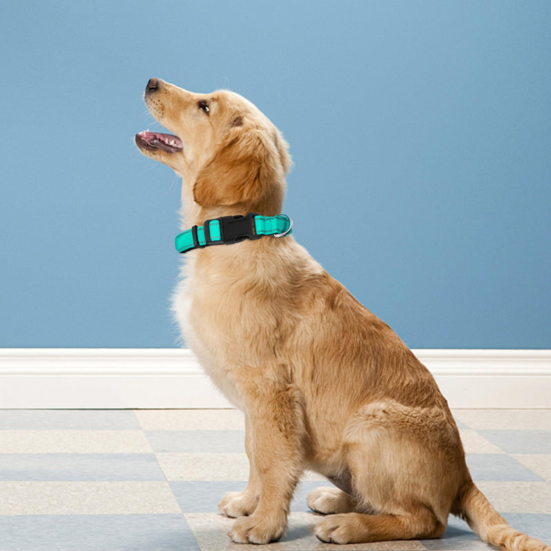 Reflective Dog Collar, Adjustable Soft Neoprene Padded Nylon Pet Collars with Buckle for Medium Dogs, Teal,M - BeesActive Australia