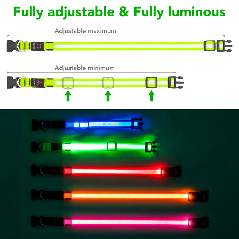 Vizpet LED Dog Collar, Light Up Dog Collar Adjustable USB Rechargeable Super Bright Safety Light Glowing Collars for Dogs(Medium,Green) Medium[14.96-19.68 inch/38-50cm] Green - BeesActive Australia